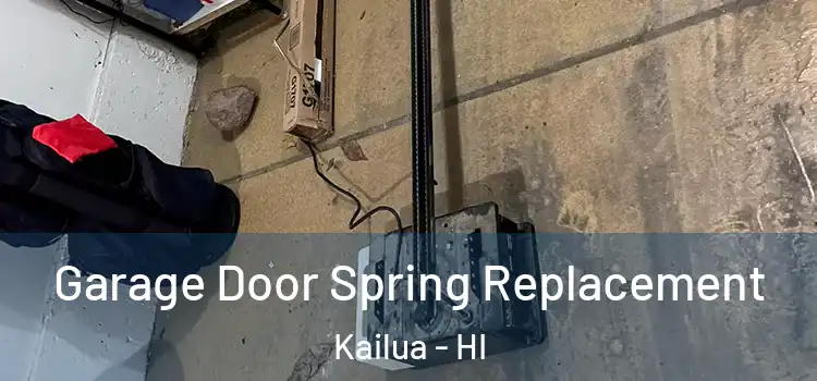  Garage Door Spring Replacement Kailua - HI