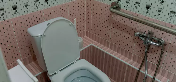 Meeting Diverse Needs With Accessible Restroom Solutions in Kailua, HI