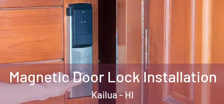  Magnetic Door Lock Installation Kailua - HI